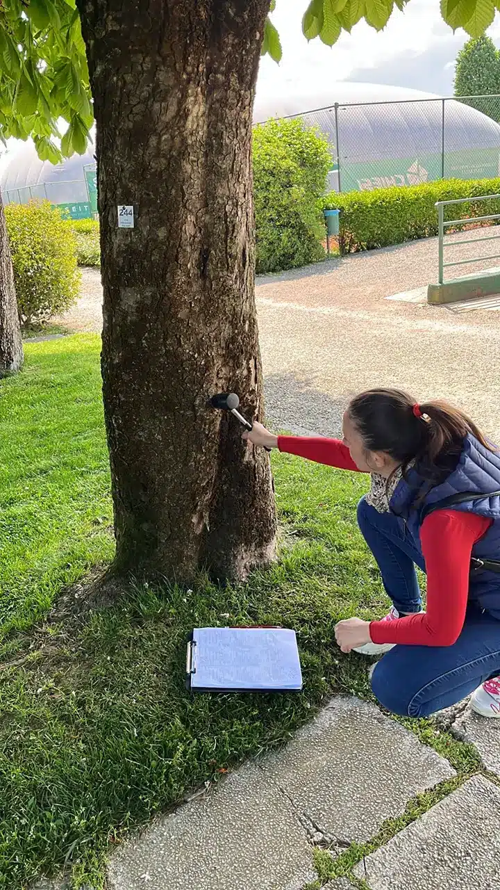 valutazioni di stabilità