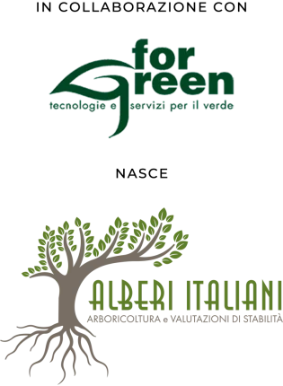 alberi-italiani Alberi Italiani