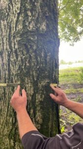 Valutazione di stabilità