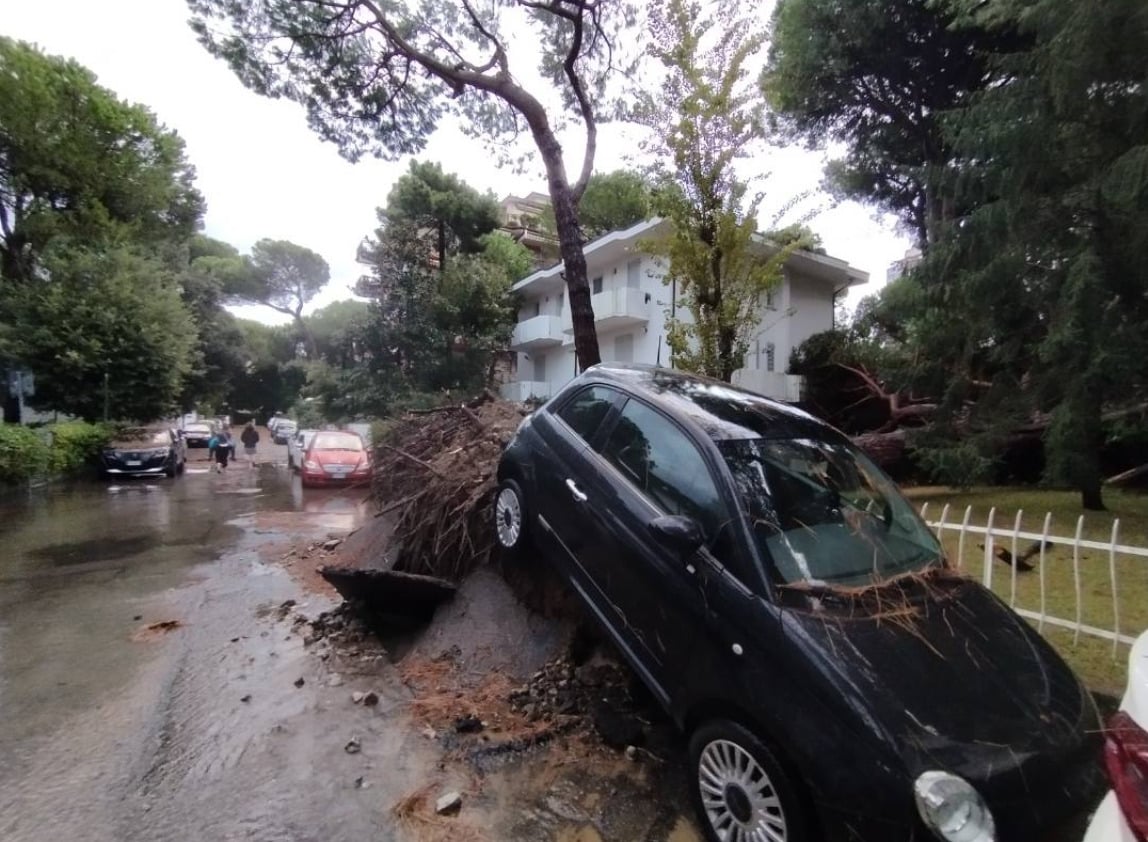 caduta pini catastrofe